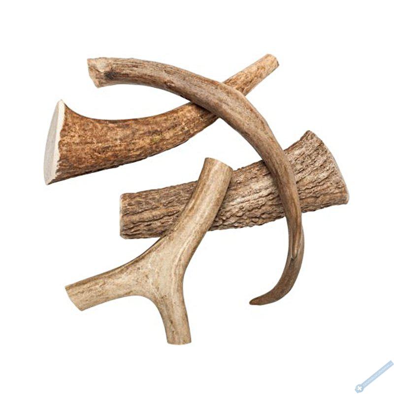 ZVERKY Odm�na pro psy Jelen� paroh cel� XXL