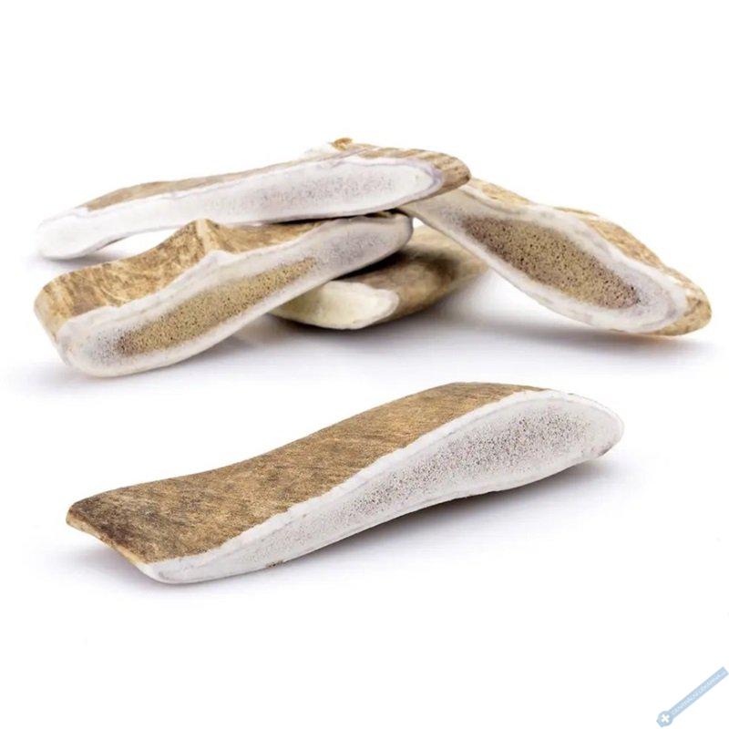 ZVERKY Odm�na pro psy Dan�� paroh cel� L