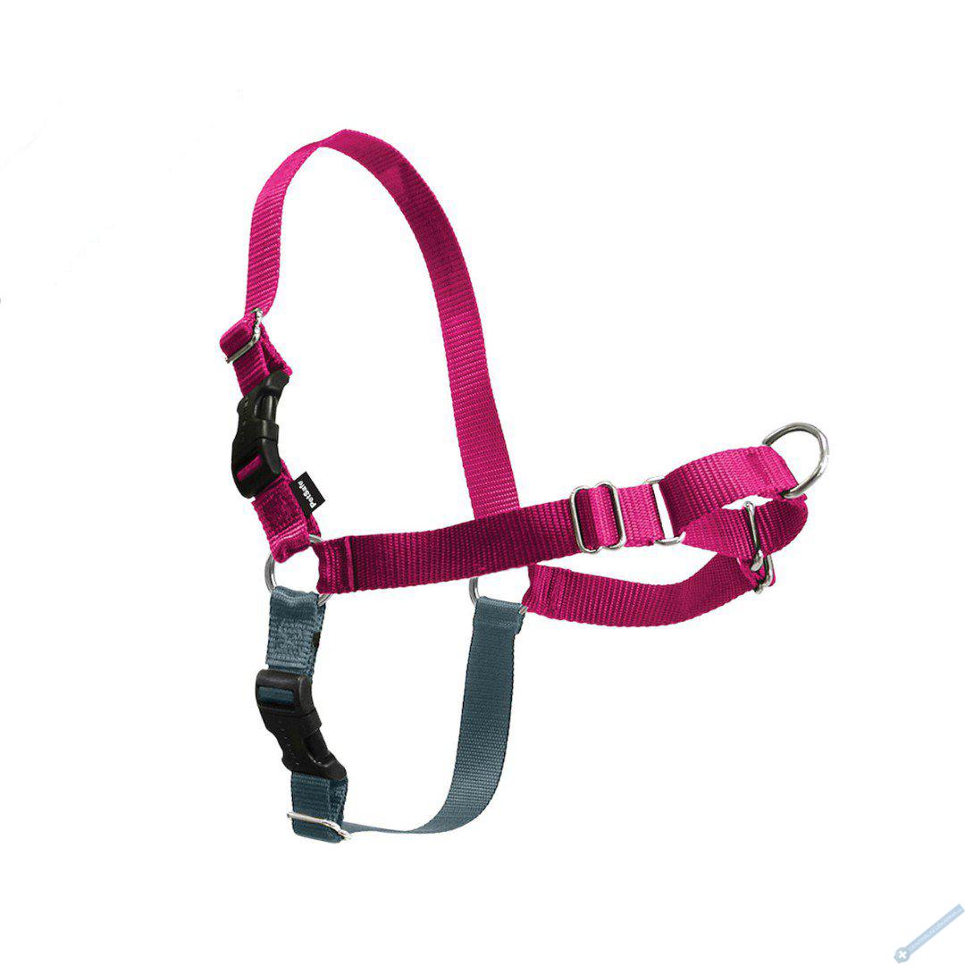 PetSafe Postroj EasyWalk malinov M