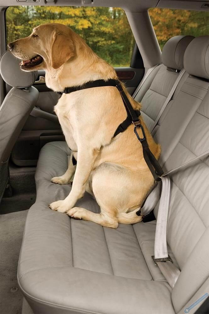 Kurgo Bezpenostn ps pro psa do auta Seatbelt Tether