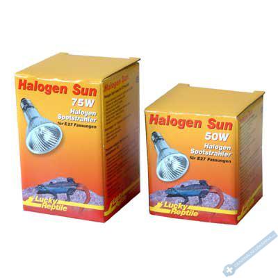 Lucky Reptile Halogen Sun 50W