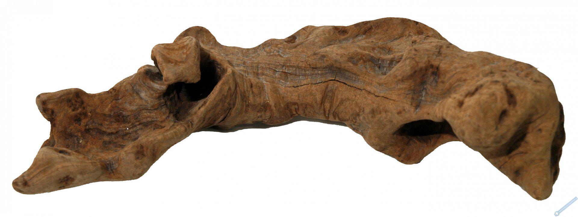 Lucky Reptile Opuwa Wood cca 15-30 cm