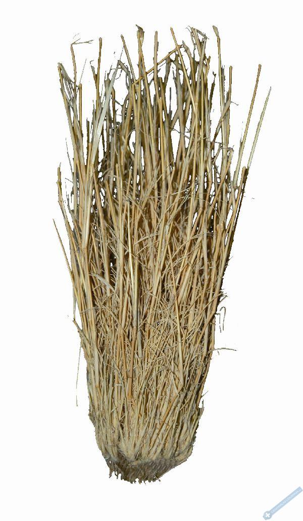 Lucky Reptile Grass Bushes 25-40 cm