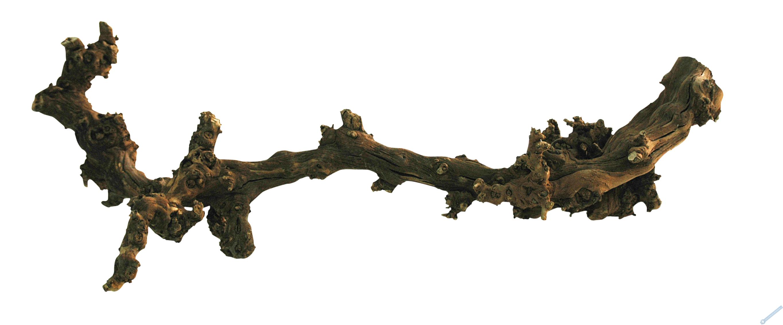 Lucky Reptile Grapevine - tmav S 30-45 cm