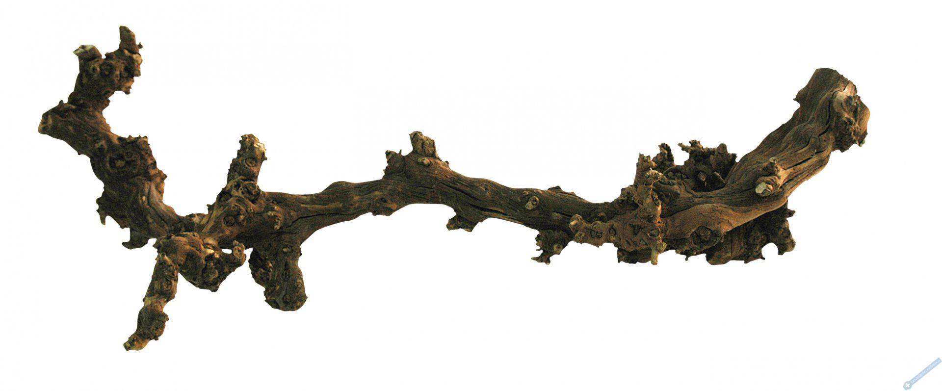 Lucky Reptile Grapevine - tmav M 40-60 cm