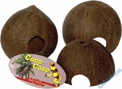 Lucky Reptile Coco Cave Cel skopka cca. 10-14 cm