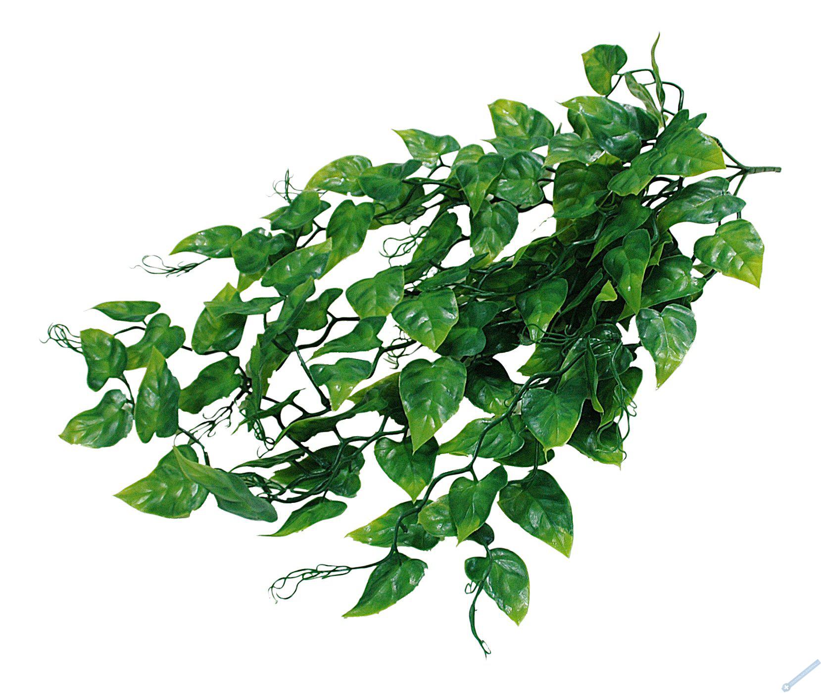 Lucky Reptile Jungle Plants Ivy Bush cca 50 cm