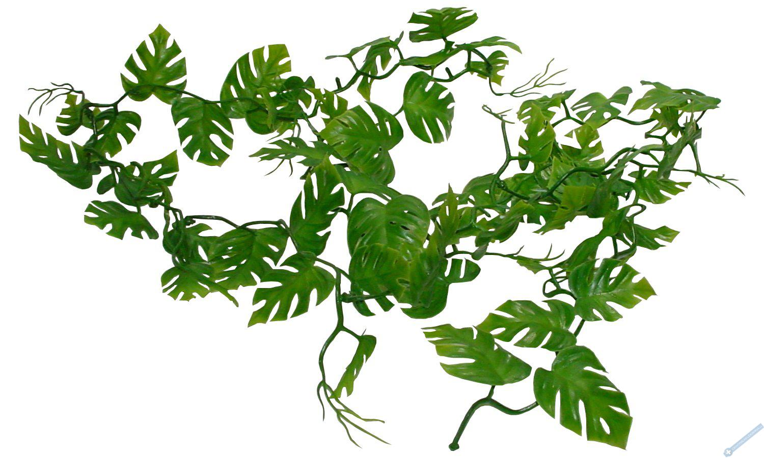 Lucky Reptile Jungle Vine Pothos Vine cca 200 cm