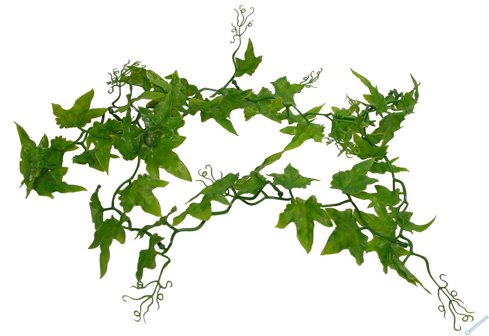 Lucky Reptile Jungle Vine Ivy Vine cca 200 cm