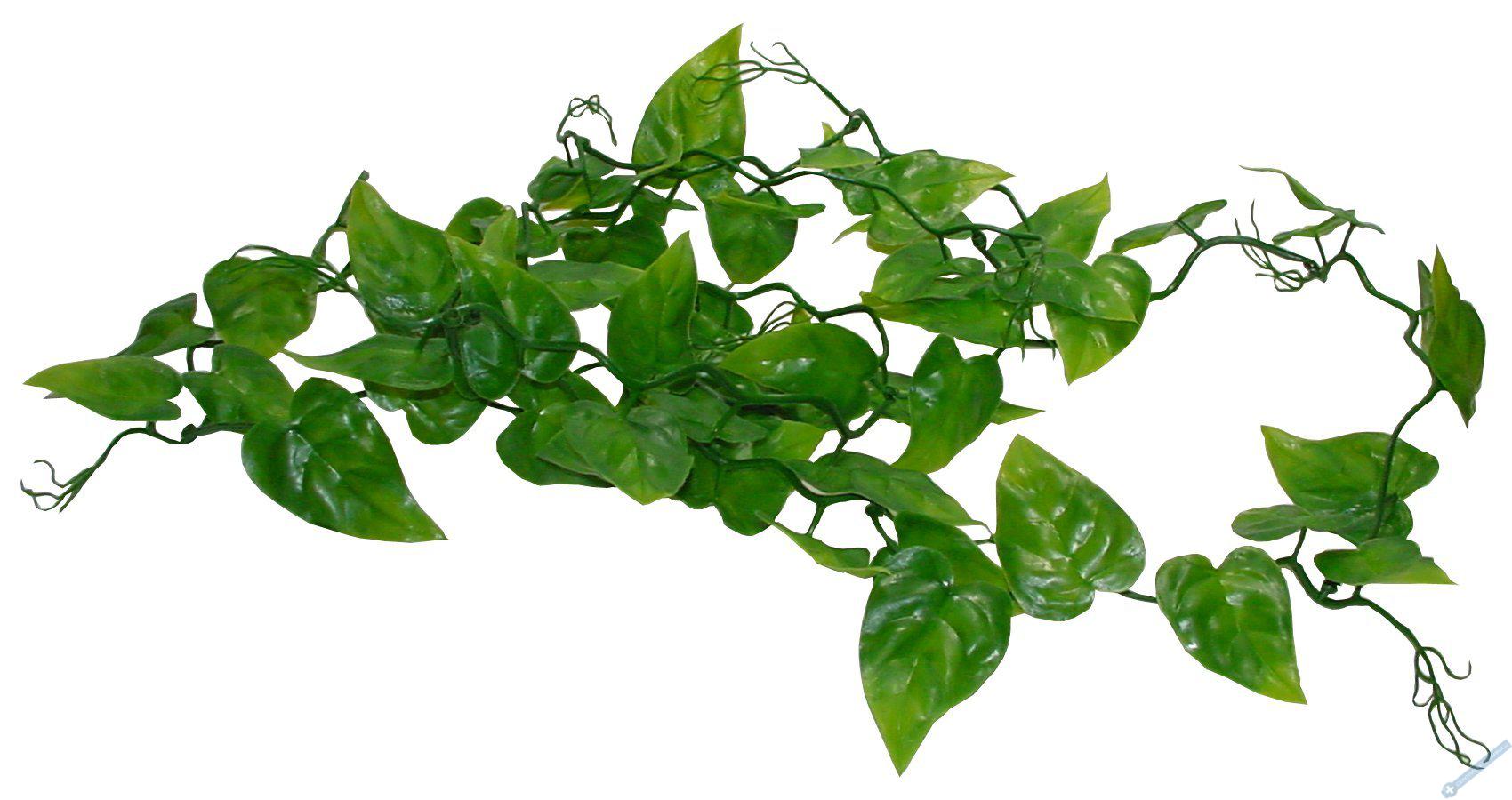 Lucky Reptile Jungle Vine Gape Leaf Vine cca 200 cm