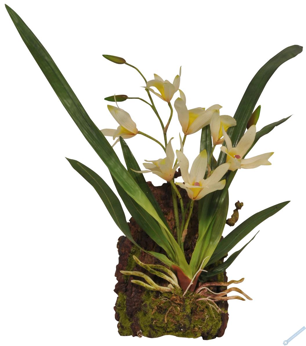Lucky Reptile Jungle Plants kvetouc Zvsn orchidej - bl cca 20x30 cm