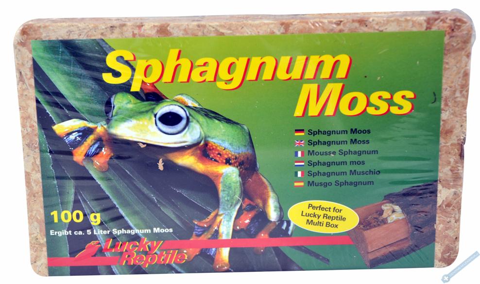 Lucky Reptile Sphagnum Moss - rašeliník 100g/5 l