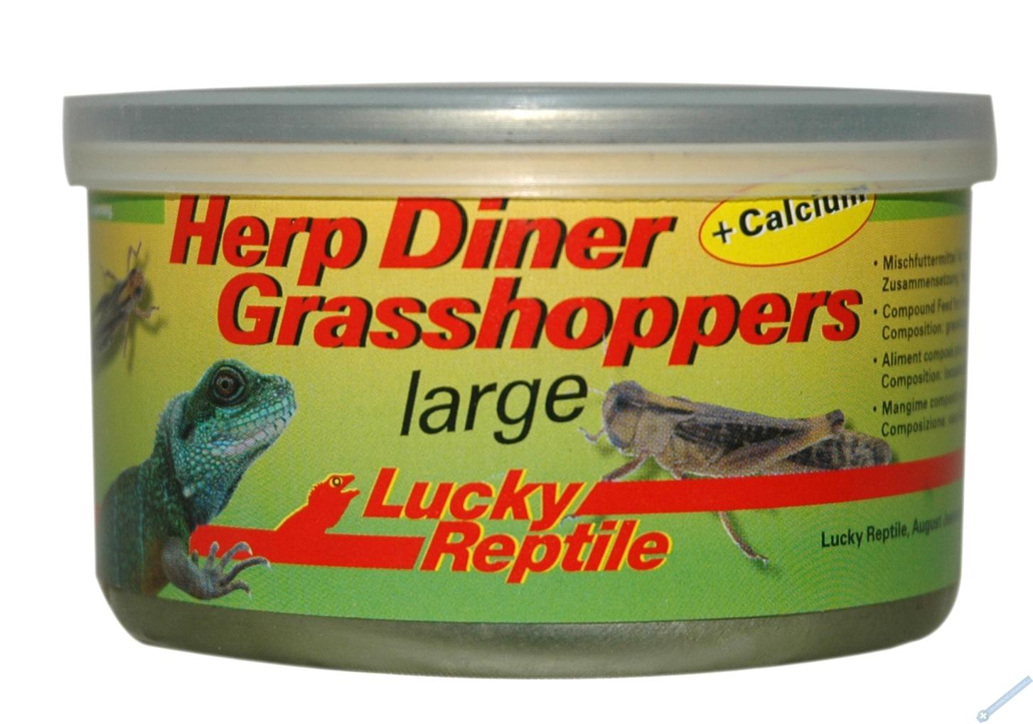 Lucky Reptile Herp Diner - saranata 35g cca 20 velkch