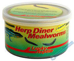 Lucky Reptile Herp Diner - mouční červi 35g Mouční červi 35g