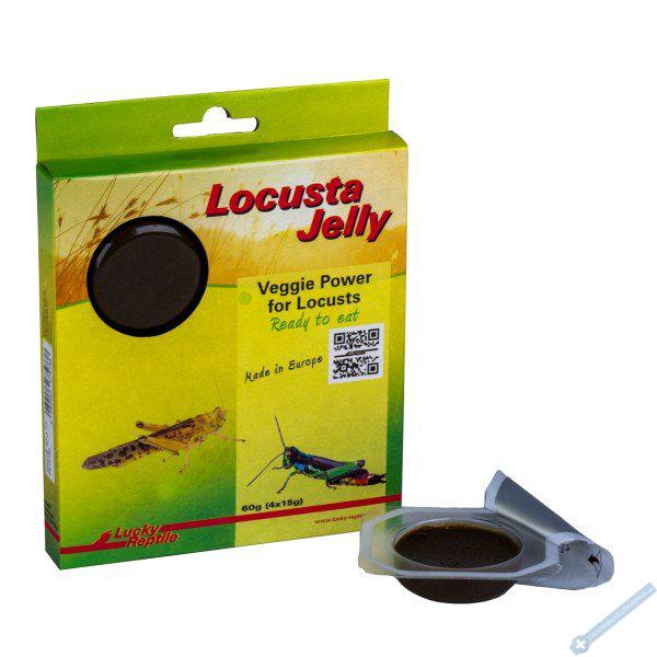 Lucky Reptile Locusta Jelly 4x 15g