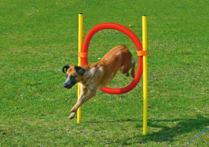 Karlie Agility překážka - kruh, žlutá/červená