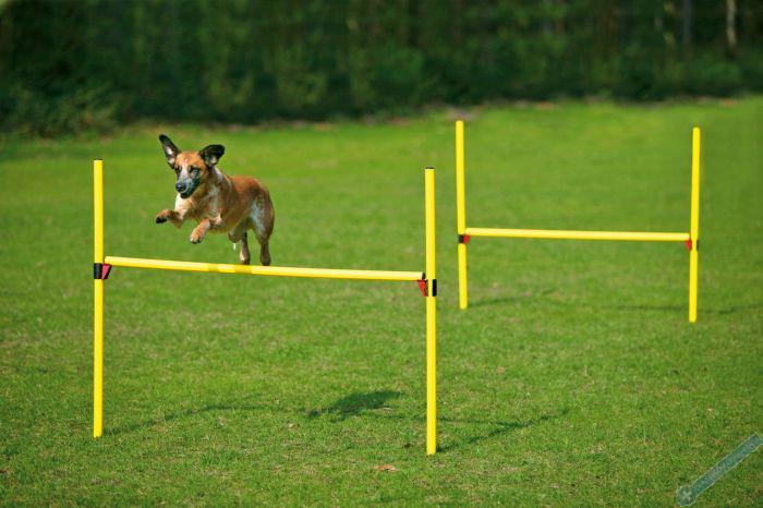 Karlie Agility překážka, žlutá