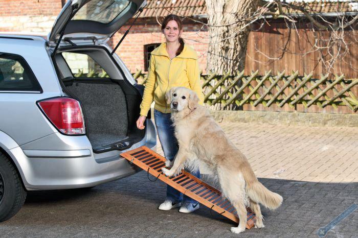 Karlie DOG ramp - skldac, rozmr 120x30x6cm