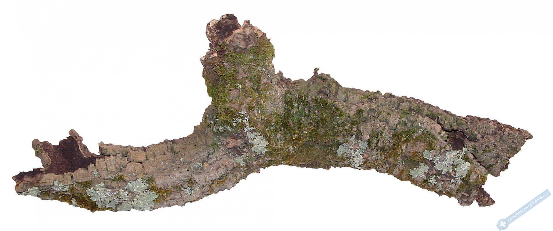 Detailn obrzek