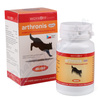 Arthronis mini ACUTE CANIS srov pchu tbl. 60