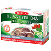 Hlíva ústřičná + probiotika + vitamin C cps.50+10