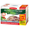 Hlíva ústřičná+lactobacily cps.60+60 AKCE 1+1 ZDAR