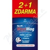 MaxiMag Hok 375mg+B6 tob.100+50 zdarma