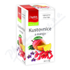 Apotheke Kustovnice s mangem čaj 20x2g n.s.