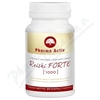 Reishi FORTE 1000 cps. 90