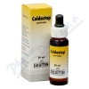 Coldastop gtt. nas. 1x20ml
