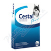 Cestal Plus žvýk.tabl.pro psy 50-144-200mg tbl.8