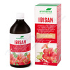 AROMATICA Ibisan jitrocel. sirup+pek+ibiek 210ml