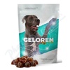 Geloren dog L-XL kloubn viva tbl.60