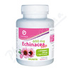 Echinacea forte 600mg+vit.C+zinek tbl.100 Galmed