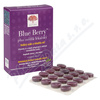 Blue Berry tbl. 60 New Nordic