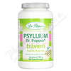 Dr.Popov Psyllium Trávení cps.120