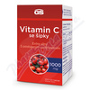 GS Vitamin C1000 se pky tbl.100+20