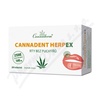 Cannaderm Cannadent HerpEX rty bez puch 28 tob. 