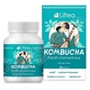 LIFTEA Kombucha Pam a koncentrace tob. 60