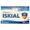 USP Zdrowie Iskial cps. 120