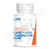 Alavis MSM+Glukosamin sulfát pro psy tbl. 60 + dárek reflexní vesla pro psy