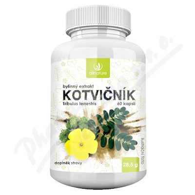 Allnature Kotvink bylinn extrakt cps.60